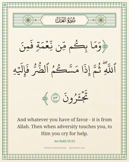 An-Nahl 16:53 — وَمَا بِكُم مِّن نِّعْمَةٍ فَمِنَ ٱللَّهِ ۖ ثُمَّ إِذَا مَسَّكُمُ ٱلضُّرُّ فَإِلَيْهِ تَجْـَٔرُونَ