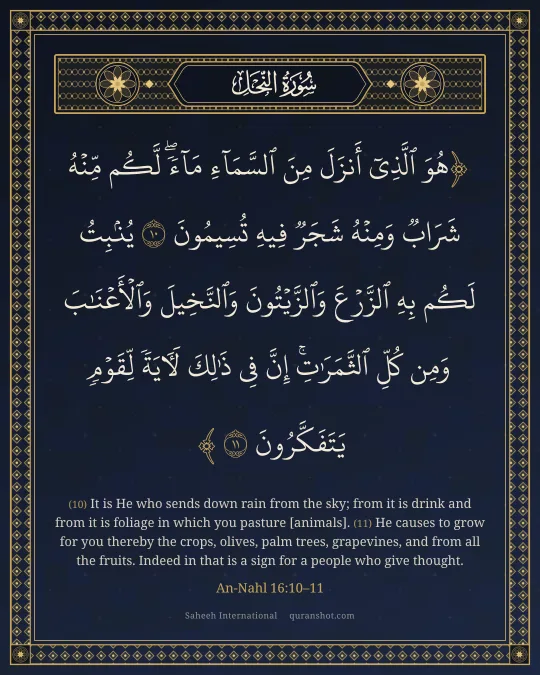 An-Nahl 16:10–11 — هُوَ ٱلَّذِىٓ أَنزَلَ مِنَ ٱلسَّمَآءِ مَآءً ۖ لَّكُم مِّنْهُ شَرَابٌ وَمِنْهُ شَجَرٌ فِيهِ تُسِيمُونَ يُنۢبِتُ لَكُم بِهِ ٱلزَّرْعَ وَٱلزَّيْتُونَ وَٱلنَّخِيلَ وَٱلْأَعْنَـٰبَ وَمِن كُلِّ ٱلثَّمَرَٰتِ ۗ إِنَّ فِى ذَٰلِكَ لَـَٔايَةً لِّقَوْمٍ يَتَفَكَّرُونَ