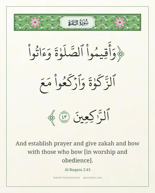 Al-Baqara 2:43 — وَأَقِيمُوا۟ ٱلصَّلَوٰةَ وَءَاتُوا۟ ٱلزَّكَوٰةَ وَٱرْكَعُوا۟ مَعَ ٱلرَّٰكِعِينَ