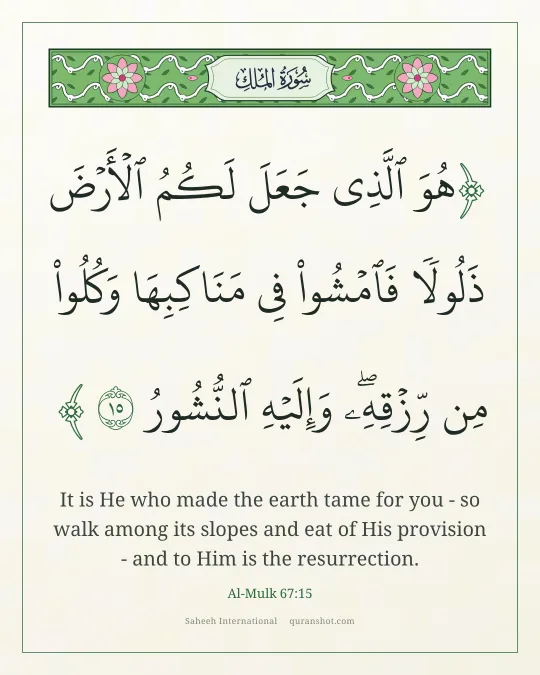 Al-Mulk 67:15 — هُوَ ٱلَّذِى جَعَلَ لَكُمُ ٱلْأَرْضَ ذَلُولًا فَٱمْشُوا۟ فِى مَنَاكِبِهَا وَكُلُوا۟ مِن رِّزْقِهِۦ ۖ وَإِلَيْهِ ٱلنُّشُورُ