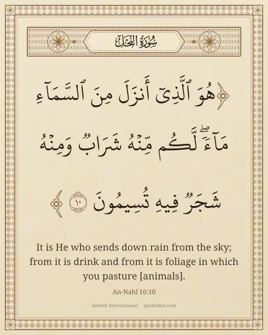 An-Nahl 16:10 — هُوَ ٱلَّذِىٓ أَنزَلَ مِنَ ٱلسَّمَآءِ مَآءً ۖ لَّكُم مِّنْهُ شَرَابٌ وَمِنْهُ شَجَرٌ فِيهِ تُسِيمُونَ
