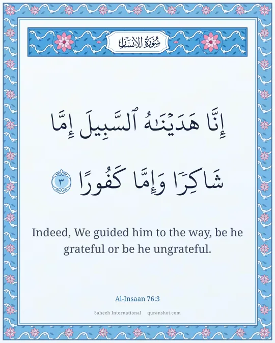 Al-Insaan 76:3 — إِنَّا هَدَيْنَـٰهُ ٱلسَّبِيلَ إِمَّا شَاكِرًا وَإِمَّا كَفُورًا