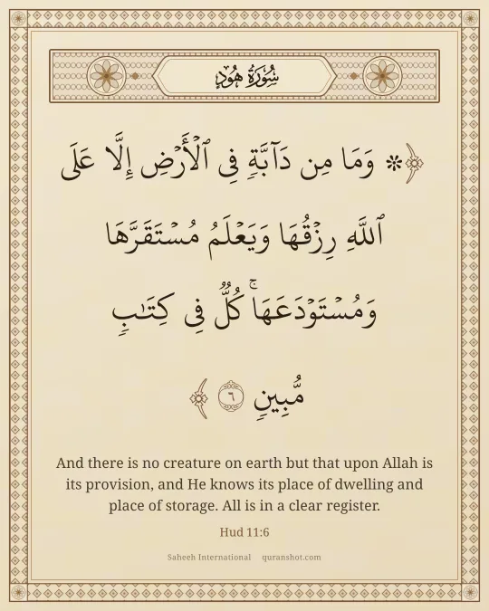 Hud 11:6 — ۞ وَمَا مِن دَآبَّةٍ فِى ٱلْأَرْضِ إِلَّا عَلَى ٱللَّهِ رِزْقُهَا وَيَعْلَمُ مُسْتَقَرَّهَا وَمُسْتَوْدَعَهَا ۚ كُلٌّ فِى كِتَـٰبٍ مُّبِينٍ