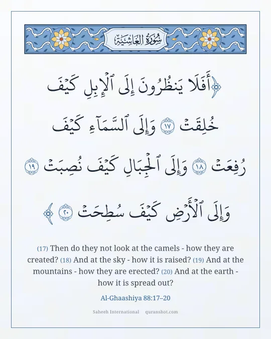Al-Ghaashiya 88:17–20 — أَفَلَا يَنظُرُونَ إِلَى ٱلْإِبِلِ كَيْفَ خُلِقَتْ وَإِلَى ٱلسَّمَآءِ كَيْفَ رُفِعَتْ وَإِلَى ٱلْجِبَالِ كَيْفَ نُصِبَتْ وَإِلَى ٱلْأَرْضِ كَيْفَ سُطِحَتْ