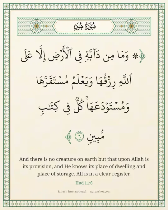 Hud 11:6 — ۞ وَمَا مِن دَآبَّةٍ فِى ٱلْأَرْضِ إِلَّا عَلَى ٱللَّهِ رِزْقُهَا وَيَعْلَمُ مُسْتَقَرَّهَا وَمُسْتَوْدَعَهَا ۚ كُلٌّ فِى كِتَـٰبٍ مُّبِينٍ