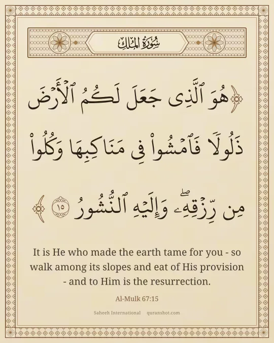 Al-Mulk 67:15 — هُوَ ٱلَّذِى جَعَلَ لَكُمُ ٱلْأَرْضَ ذَلُولًا فَٱمْشُوا۟ فِى مَنَاكِبِهَا وَكُلُوا۟ مِن رِّزْقِهِۦ ۖ وَإِلَيْهِ ٱلنُّشُورُ