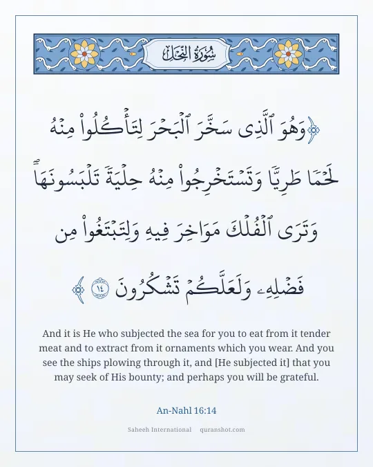 An-Nahl 16:14 — وَهُوَ ٱلَّذِى سَخَّرَ ٱلْبَحْرَ لِتَأْكُلُوا۟ مِنْهُ لَحْمًا طَرِيًّا وَتَسْتَخْرِجُوا۟ مِنْهُ حِلْيَةً تَلْبَسُونَهَا وَتَرَى ٱلْفُلْكَ مَوَاخِرَ فِيهِ وَلِتَبْتَغُوا۟ مِن فَضْلِهِۦ وَلَعَلَّكُمْ تَشْكُرُونَ