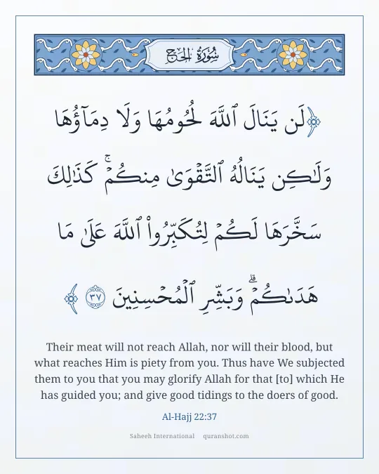 Al-Hajj 22:37 — لَن يَنَالَ ٱللَّهَ لُحُومُهَا وَلَا دِمَآؤُهَا وَلَـٰكِن يَنَالُهُ ٱلتَّقْوَىٰ مِنكُمْ ۚ كَذَٰلِكَ سَخَّرَهَا لَكُمْ لِتُكَبِّرُوا۟ ٱللَّهَ عَلَىٰ مَا هَدَىٰكُمْ ۗ وَبَشِّرِ ٱلْمُحْسِنِينَ