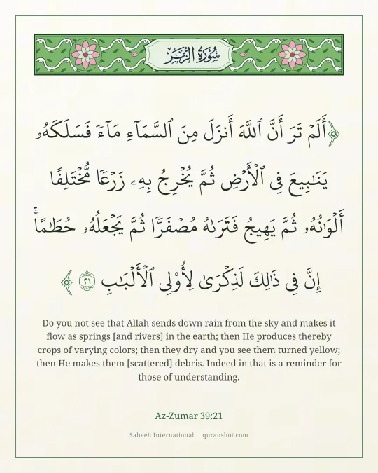 Az-Zumar 39:21 — أَلَمْ تَرَ أَنَّ ٱللَّهَ أَنزَلَ مِنَ ٱلسَّمَآءِ مَآءً فَسَلَكَهُۥ يَنَـٰبِيعَ فِى ٱلْأَرْضِ ثُمَّ يُخْرِجُ بِهِۦ زَرْعًا مُّخْتَلِفًا أَلْوَٰنُهُۥ ثُمَّ يَهِيجُ فَتَرَىٰهُ مُصْفَرًّا ثُمَّ يَجْعَلُهُۥ حُطَـٰمًا ۚ إِنَّ فِى ذَٰلِكَ لَذِكْرَىٰ لِأُو۟لِى ٱلْأَلْبَـٰبِ
