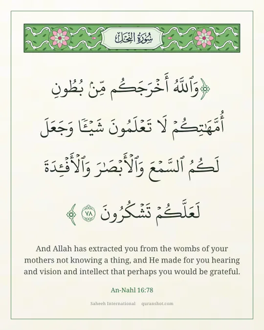 An-Nahl 16:78 — وَٱللَّهُ أَخْرَجَكُم مِّنۢ بُطُونِ أُمَّهَـٰتِكُمْ لَا تَعْلَمُونَ شَيْـًٔا وَجَعَلَ لَكُمُ ٱلسَّمْعَ وَٱلْأَبْصَـٰرَ وَٱلْأَفْـِٔدَةَ ۙ لَعَلَّكُمْ تَشْكُرُونَ